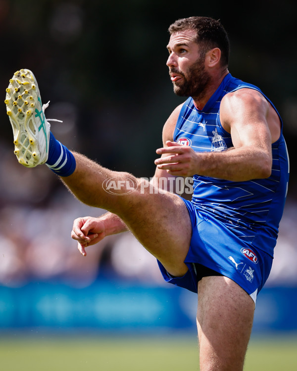 AFL 2025 Match Simulation - North Melbourne v Melbourne - A-57568992