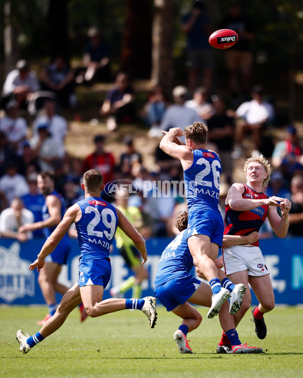 AFL 2025 Match Simulation - North Melbourne v Melbourne - A-57568995