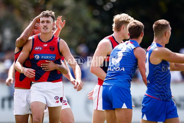 AFL 2025 Match Simulation - North Melbourne v Melbourne - A-57568996
