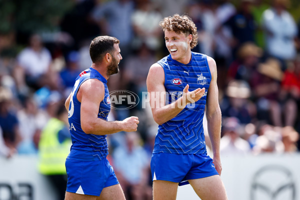AFL 2025 Match Simulation - North Melbourne v Melbourne - A-57569001