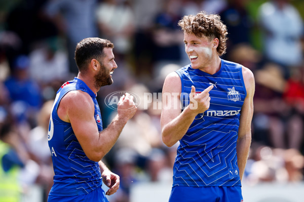 AFL 2025 Match Simulation - North Melbourne v Melbourne - A-57569003