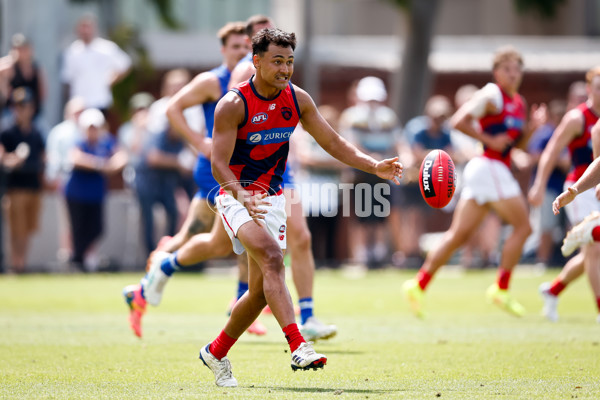 AFL 2025 Match Simulation - North Melbourne v Melbourne - A-57569004