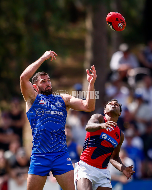 AFL 2025 Match Simulation - North Melbourne v Melbourne - A-57569006