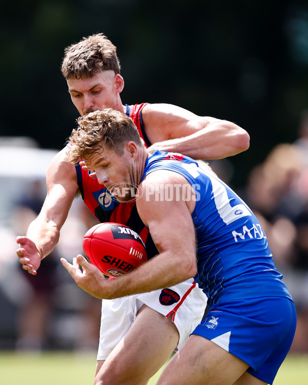 AFL 2025 Match Simulation - North Melbourne v Melbourne - A-57569007