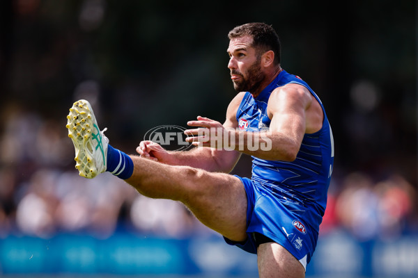 AFL 2025 Match Simulation - North Melbourne v Melbourne - A-57569008