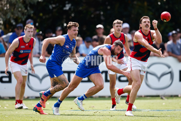 AFL 2025 Match Simulation - North Melbourne v Melbourne - A-57569019