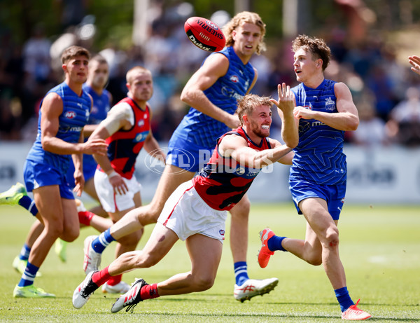 AFL 2025 Match Simulation - North Melbourne v Melbourne - A-57576744