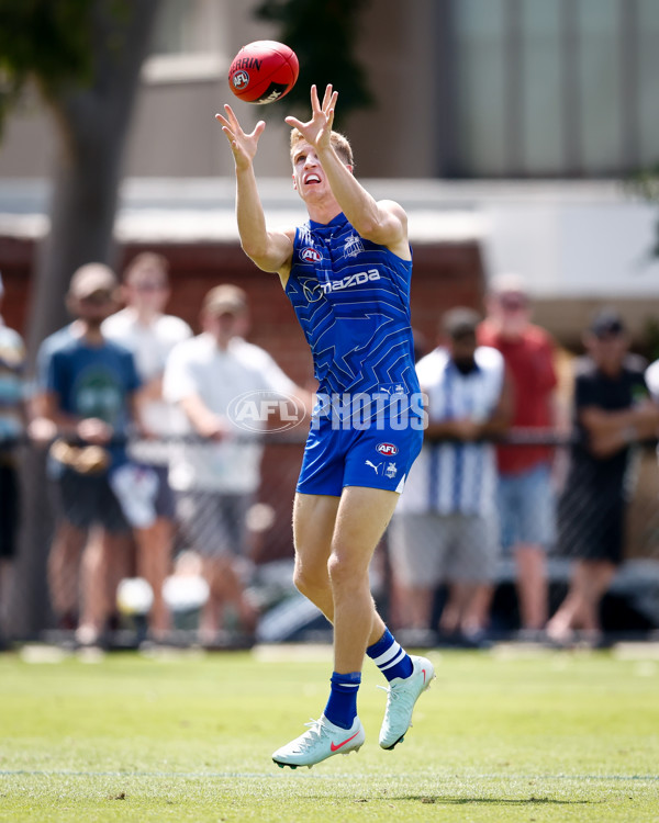 AFL 2025 Match Simulation - North Melbourne v Melbourne - A-57576746
