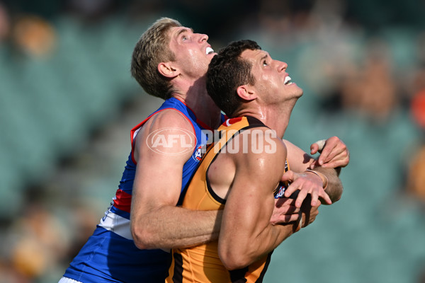 AFL 2025 AAMI Community Series - Hawthorn v Western Bulldogs - A-57607001