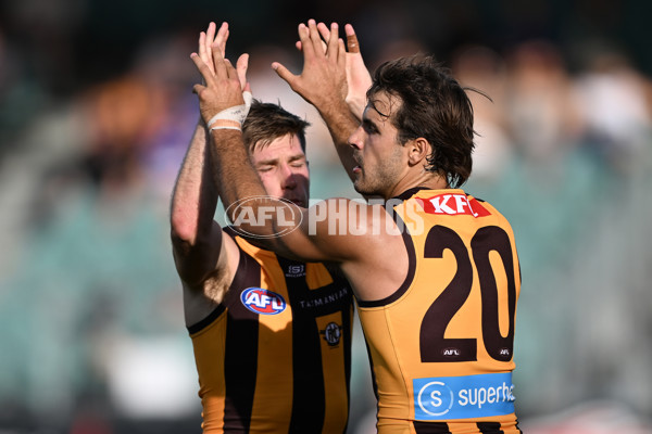 AFL 2025 AAMI Community Series - Hawthorn v Western Bulldogs - A-57607028