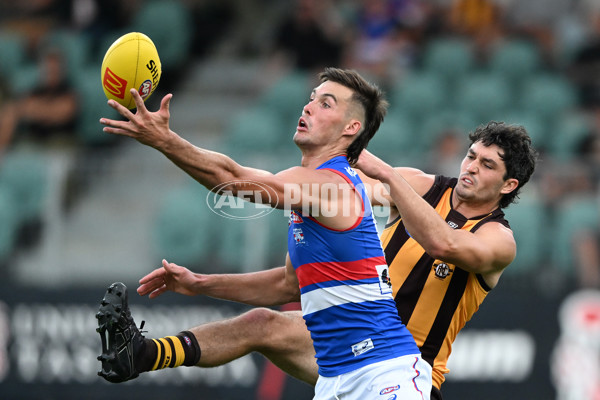 AFL 2025 AAMI Community Series - Hawthorn v Western Bulldogs - A-57607033