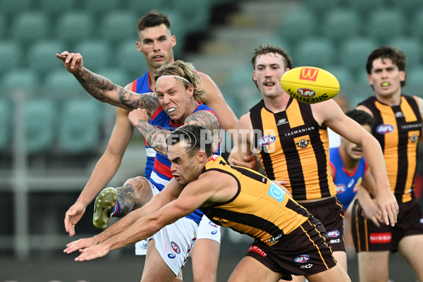 AFL 2025 AAMI Community Series - Hawthorn v Western Bulldogs - A-57607035