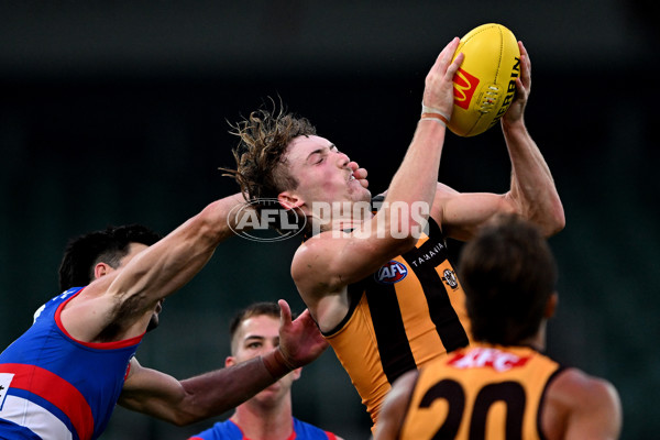 AFL 2025 AAMI Community Series - Hawthorn v Western Bulldogs - A-57607337