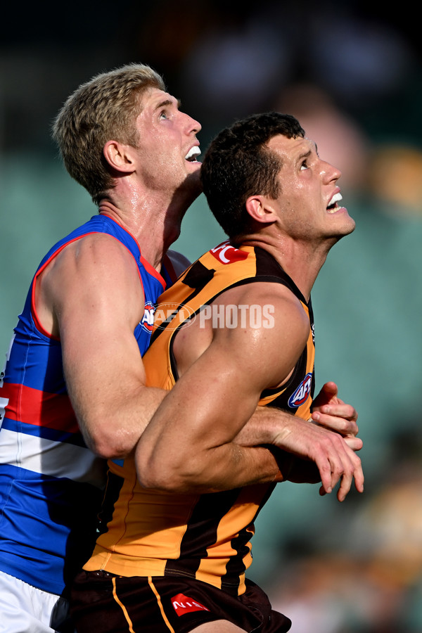 AFL 2025 AAMI Community Series - Hawthorn v Western Bulldogs - A-57610058