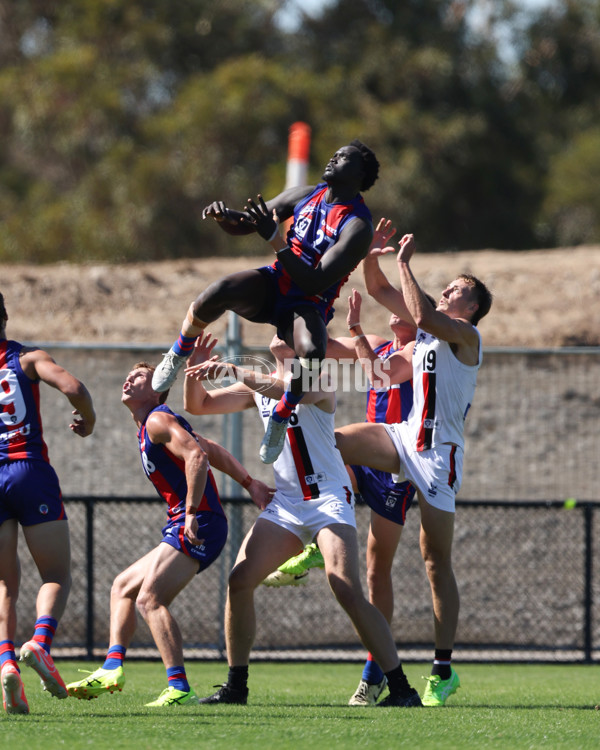 VFL 2025 Practice Match Carnival - Port Melbourne v Frankston - A-57618859