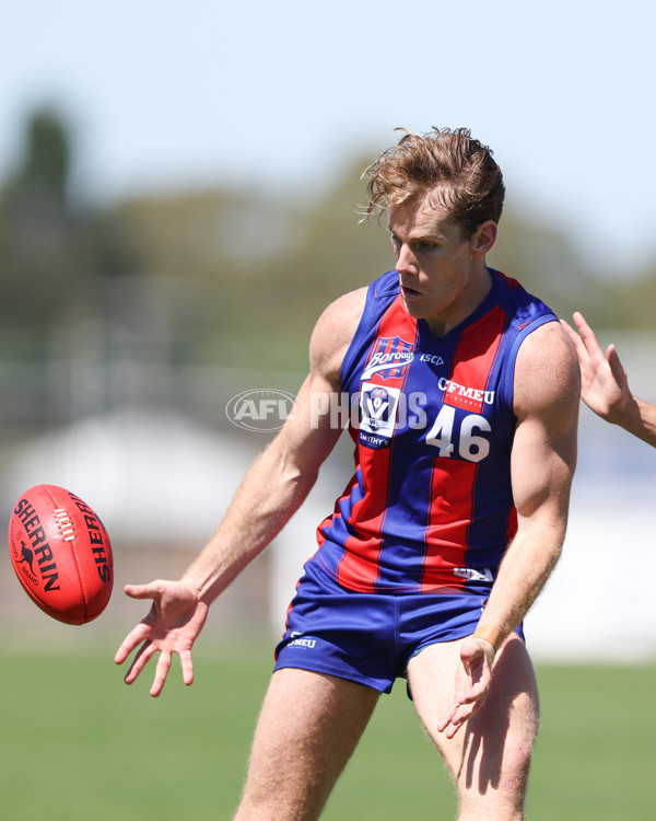 VFL 2025 Practice Match Carnival - Port Melbourne v Frankston - A-57618874