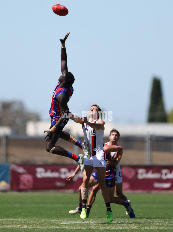 VFL 2025 Practice Match Carnival - Port Melbourne v Frankston - A-57619376