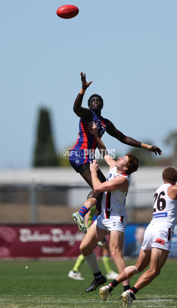 VFL 2025 Practice Match Carnival - Port Melbourne v Frankston - A-57619384