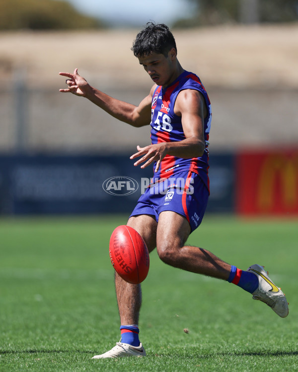 VFL 2025 Practice Match Carnival - Port Melbourne v Frankston - A-57619385