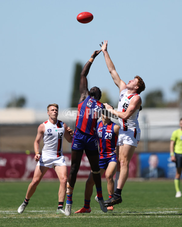 VFL 2025 Practice Match Carnival - Port Melbourne v Frankston - A-57621713