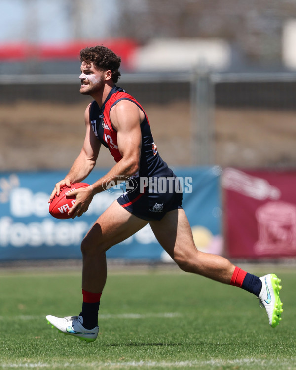 VFL 2025 Practice Match Carnival - Coburg v Williamstown - A-57621732