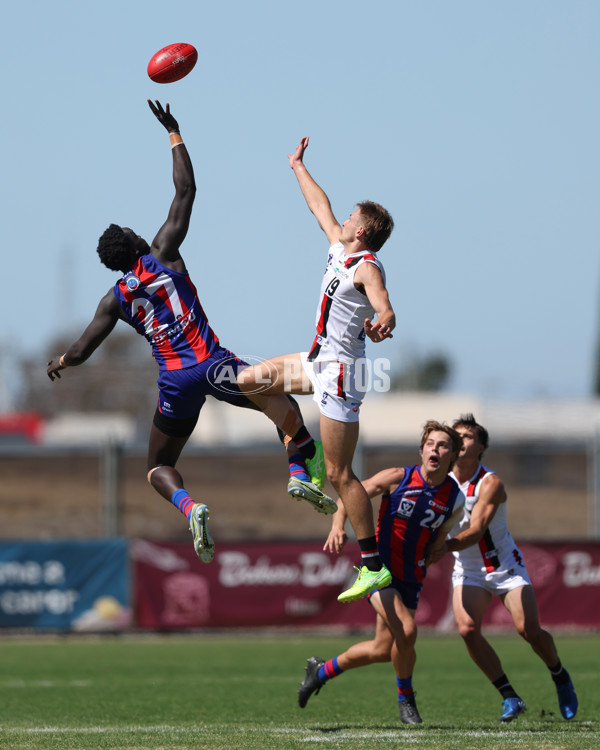 VFL 2025 Practice Match Carnival - Port Melbourne v Frankston - A-57622021