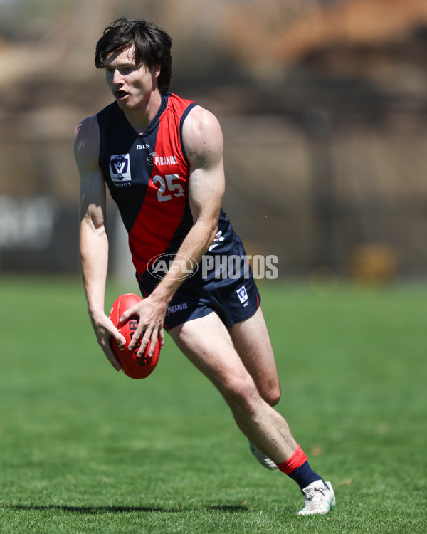 VFL 2025 Practice Match Carnival - Coburg v Williamstown - A-57622039
