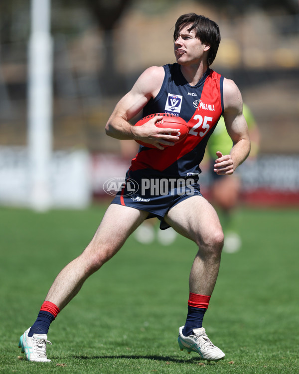 VFL 2025 Practice Match Carnival - Coburg v Williamstown - A-57622042