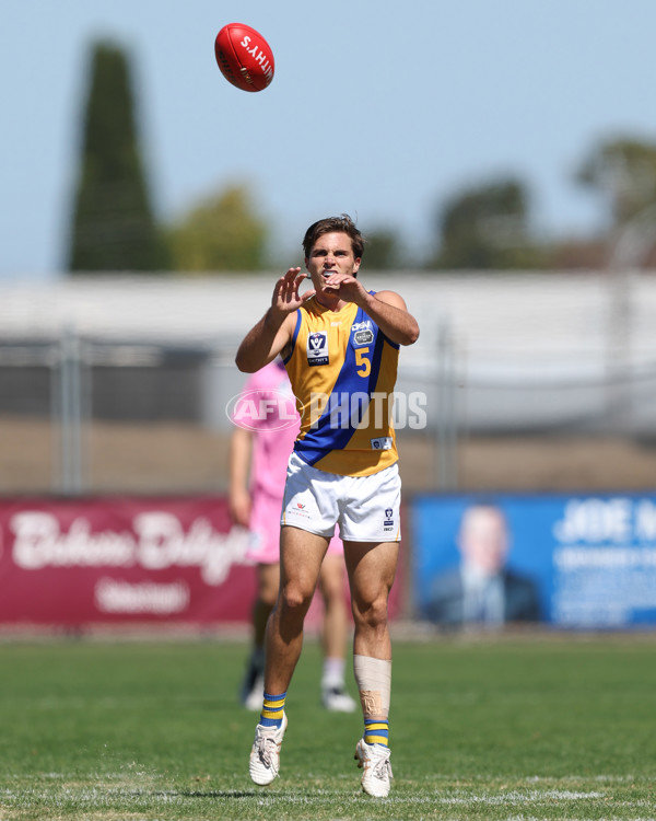 VFL 2025 Practice Match Carnival - Coburg v Williamstown - A-57624213