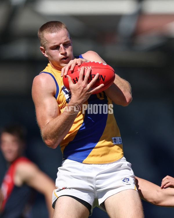 VFL 2025 Practice Match Carnival - Coburg v Williamstown - A-57624224