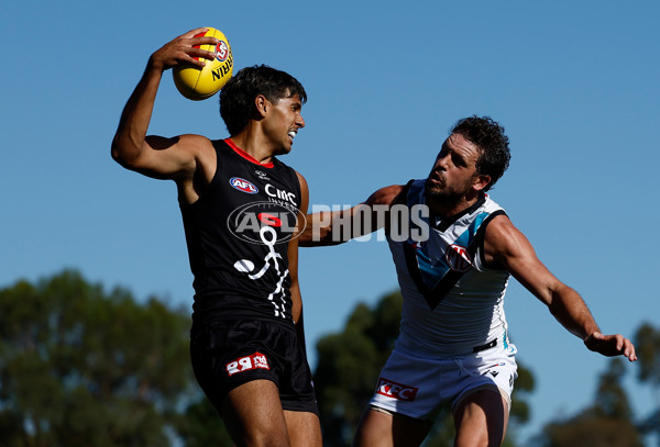 AFL 2025 AAMI Community Series - St Kilda v Port Adelaide - A-57626507