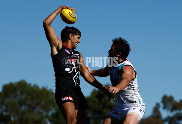 AFL 2025 AAMI Community Series - St Kilda v Port Adelaide - A-57627390