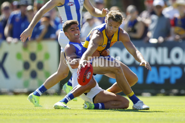 AFL 2025 AAMI Community Series - West Coast v North Melbourne - A-57629968