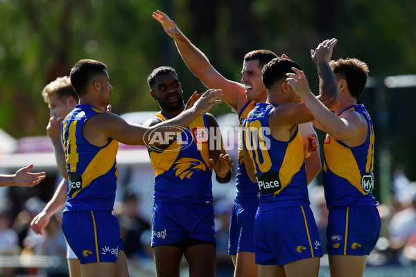 AFL 2025 AAMI Community Series - West Coast v North Melbourne - A-57629982