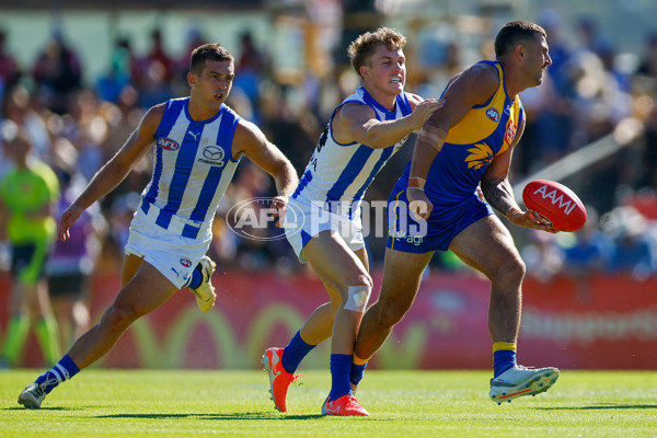 AFL 2025 AAMI Community Series - West Coast v North Melbourne - A-57629983