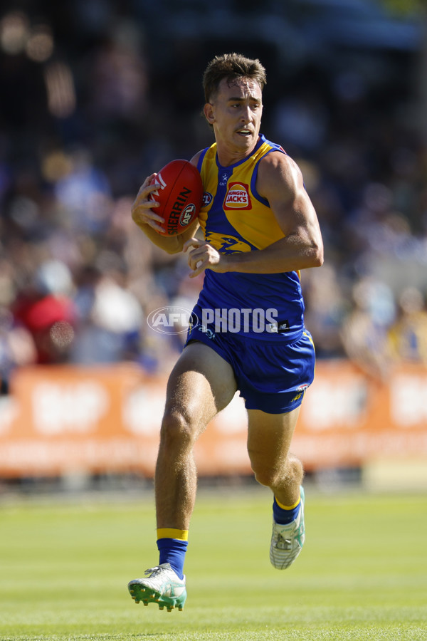 AFL 2025 AAMI Community Series - West Coast v North Melbourne - A-57629986