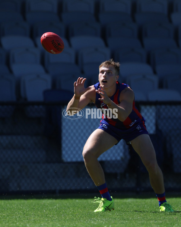 VFL 2025 Practice Match Carnival - Port Melbourne v Frankston - A-57632373