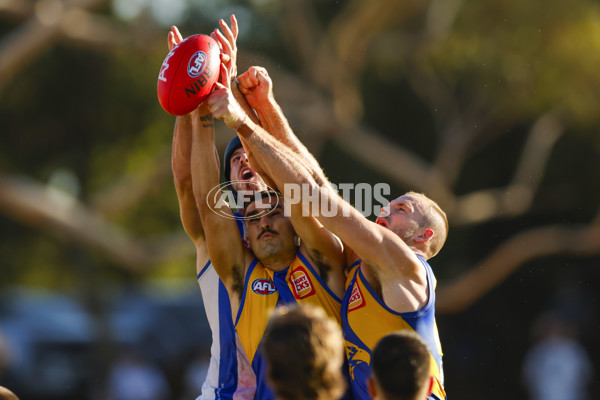 AFL 2025 AAMI Community Series - West Coast v North Melbourne - A-57632415