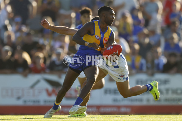 AFL 2025 AAMI Community Series - West Coast v North Melbourne - A-57632888