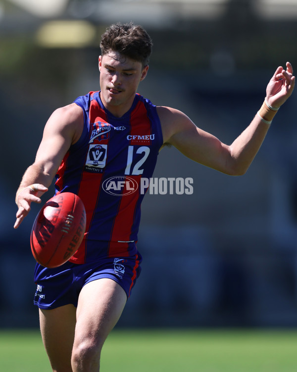 VFL 2025 Practice Match Carnival - Port Melbourne v Frankston - A-57634654