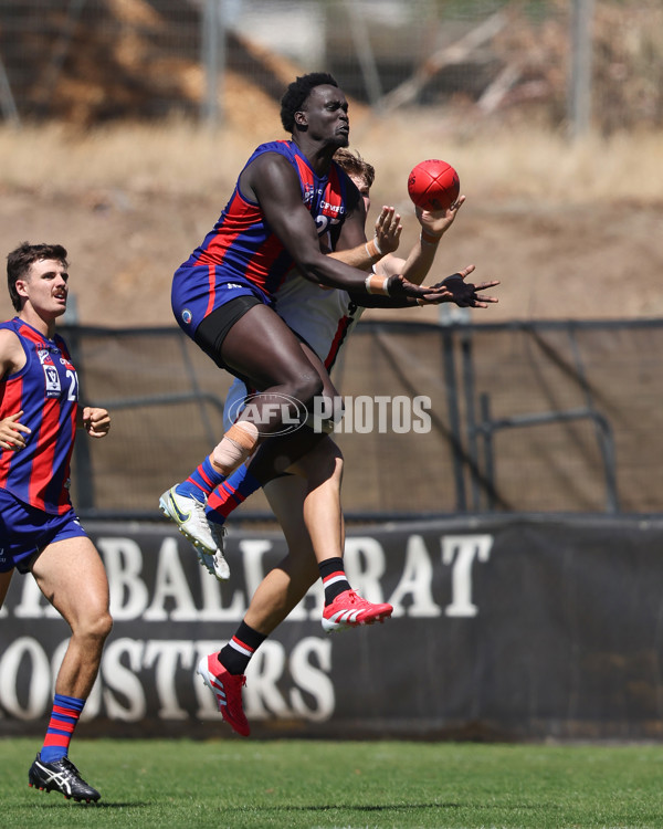 VFL 2025 Practice Match Carnival - Port Melbourne v Frankston - A-57634655