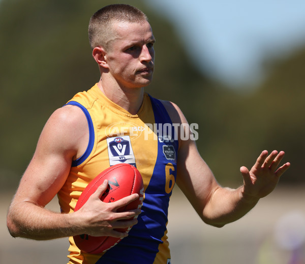 VFL 2025 Practice Match Carnival - Coburg v Williamstown - A-57634691