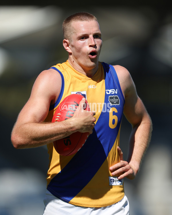 VFL 2025 Practice Match Carnival - Coburg v Williamstown - A-57634693