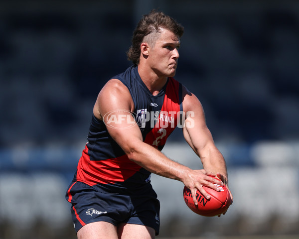 VFL 2025 Practice Match Carnival - Coburg v Williamstown - A-57634695