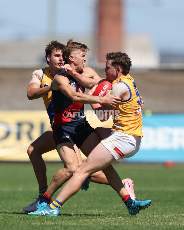 VFL 2025 Practice Match Carnival - Coburg v Williamstown - A-57634699