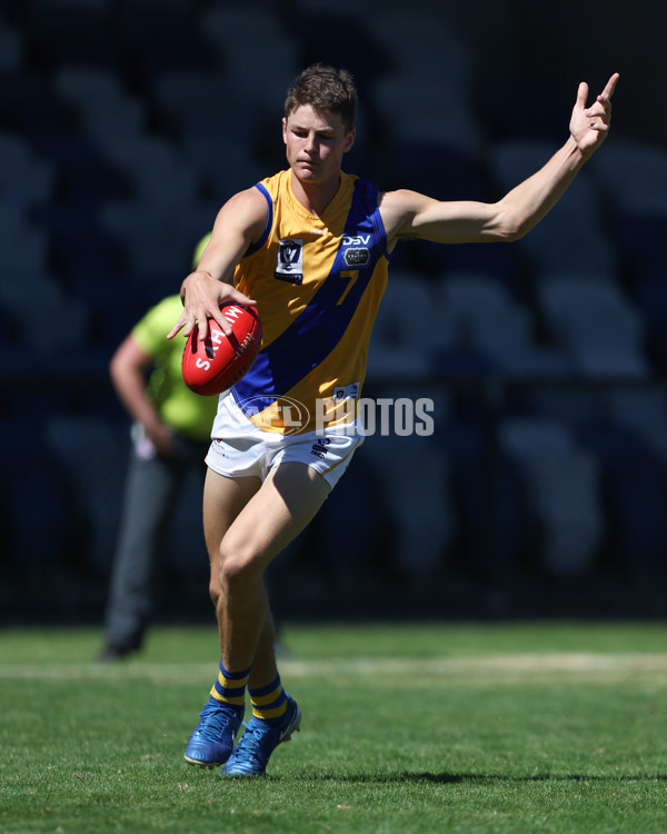 VFL 2025 Practice Match Carnival - Coburg v Williamstown - A-57634722