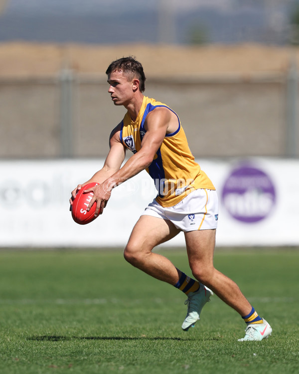 VFL 2025 Practice Match Carnival - Coburg v Williamstown - A-57635874