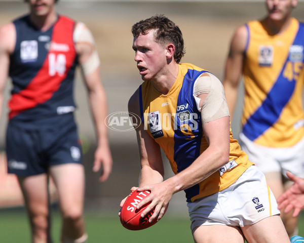 VFL 2025 Practice Match Carnival - Coburg v Williamstown - A-57635875