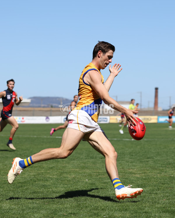 VFL 2025 Practice Match Carnival - Coburg v Williamstown - A-57635877