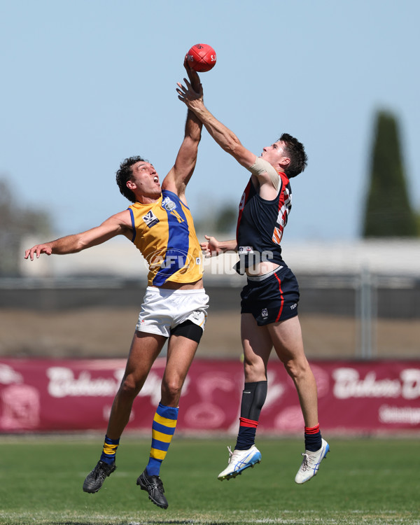 VFL 2025 Practice Match Carnival - Coburg v Williamstown - A-57635880